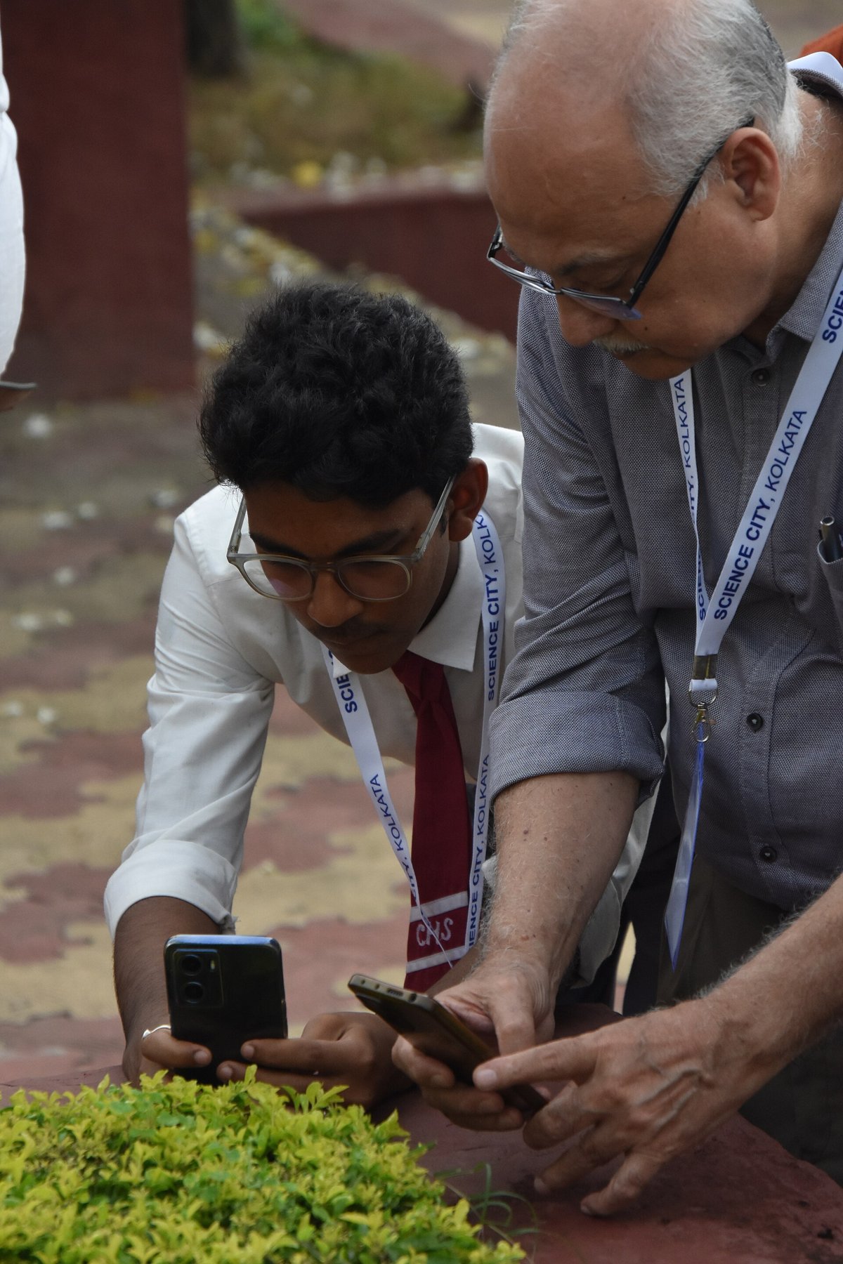 Participants practising close-up photography with mobile phones during a workshop.
